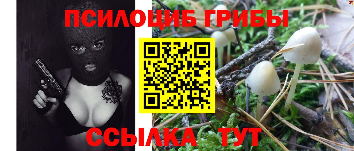Галлюциногенные грибы Psilocybine cubensis  закладка  Елец  Вход с VPN 